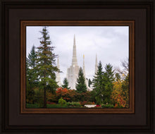 Load image into Gallery viewer, Portland Temple Forest Through The Trees
