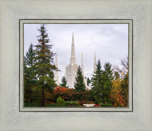 Load image into Gallery viewer, Portland Temple Forest Through The Trees
