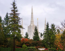 Load image into Gallery viewer, Portland Temple Forest Through The Trees
