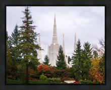 Load image into Gallery viewer, Portland Temple Forest Through The Trees
