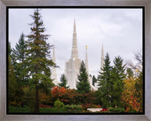 Load image into Gallery viewer, Portland Temple Forest Through The Trees
