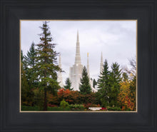 Load image into Gallery viewer, Portland Temple Forest Through The Trees
