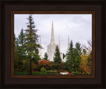 Load image into Gallery viewer, Portland Temple Forest Through The Trees
