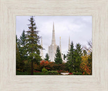 Load image into Gallery viewer, Portland Temple Forest Through The Trees
