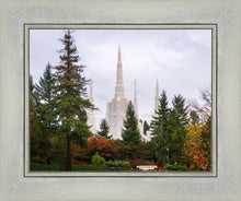 Load image into Gallery viewer, Portland Temple Forest Through The Trees
