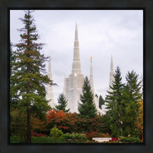 Load image into Gallery viewer, Portland Temple Forest Through The Trees
