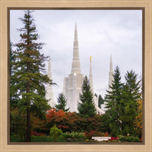 Load image into Gallery viewer, Portland Temple Forest Through The Trees

