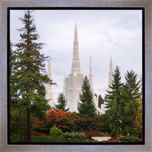 Load image into Gallery viewer, Portland Temple Forest Through The Trees
