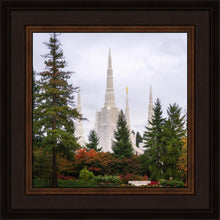 Load image into Gallery viewer, Portland Temple Forest Through The Trees

