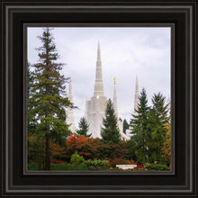 Load image into Gallery viewer, Portland Temple Forest Through The Trees
