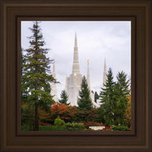 Load image into Gallery viewer, Portland Temple Forest Through The Trees
