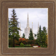 Load image into Gallery viewer, Portland Temple Forest Through The Trees
