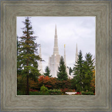 Load image into Gallery viewer, Portland Temple Forest Through The Trees

