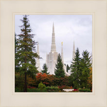 Load image into Gallery viewer, Portland Temple Forest Through The Trees
