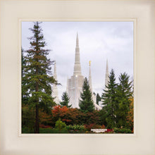 Load image into Gallery viewer, Portland Temple Forest Through The Trees
