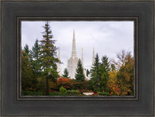 Load image into Gallery viewer, Portland Temple Forest Through The Trees
