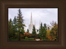 Load image into Gallery viewer, Portland Temple Forest Through The Trees
