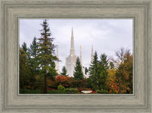 Load image into Gallery viewer, Portland Temple Forest Through The Trees
