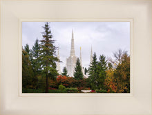 Load image into Gallery viewer, Portland Temple Forest Through The Trees
