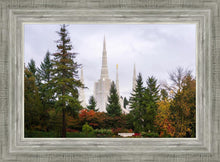 Load image into Gallery viewer, Portland Temple Forest Through The Trees
