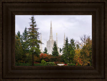 Load image into Gallery viewer, Portland Temple Forest Through The Trees
