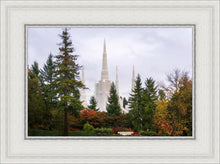 Load image into Gallery viewer, Portland Temple Forest Through The Trees
