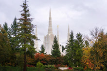 Load image into Gallery viewer, Portland Temple Forest Through The Trees
