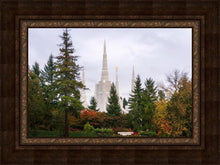 Load image into Gallery viewer, Portland Temple Forest Through The Trees
