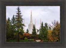 Load image into Gallery viewer, Portland Temple Forest Through The Trees
