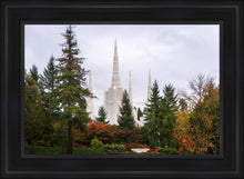 Load image into Gallery viewer, Portland Temple Forest Through The Trees
