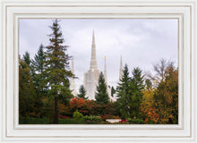 Load image into Gallery viewer, Portland Temple Forest Through The Trees
