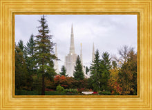 Load image into Gallery viewer, Portland Temple Forest Through The Trees
