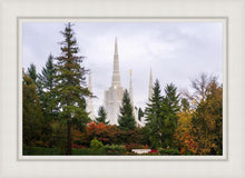 Load image into Gallery viewer, Portland Temple Forest Through The Trees
