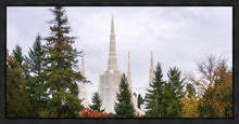 Load image into Gallery viewer, Portland Temple Forest Through The Trees
