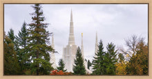 Load image into Gallery viewer, Portland Temple Forest Through The Trees

