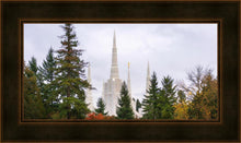 Load image into Gallery viewer, Portland Temple Forest Through The Trees
