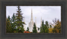 Load image into Gallery viewer, Portland Temple Forest Through The Trees
