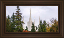 Load image into Gallery viewer, Portland Temple Forest Through The Trees
