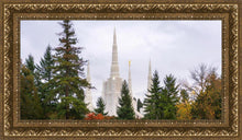 Load image into Gallery viewer, Portland Temple Forest Through The Trees
