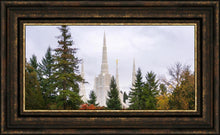 Load image into Gallery viewer, Portland Temple Forest Through The Trees
