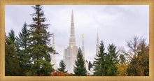 Load image into Gallery viewer, Portland Temple Forest Through The Trees

