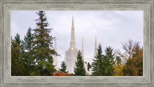 Load image into Gallery viewer, Portland Temple Forest Through The Trees
