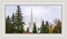Load image into Gallery viewer, Portland Temple Forest Through The Trees
