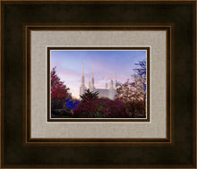 Load image into Gallery viewer, Washington DC Christmas Morning
