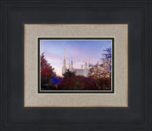 Load image into Gallery viewer, Washington DC Christmas Morning
