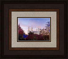 Load image into Gallery viewer, Washington DC Christmas Morning
