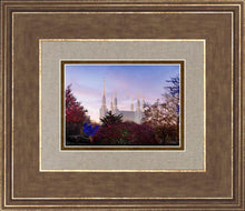 Load image into Gallery viewer, Washington DC Christmas Morning
