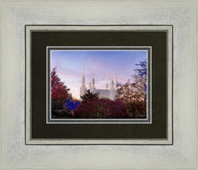 Load image into Gallery viewer, Washington DC Christmas Morning
