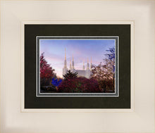 Load image into Gallery viewer, Washington DC Christmas Morning
