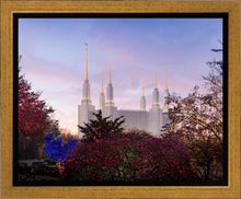 Load image into Gallery viewer, Washington DC Christmas Morning

